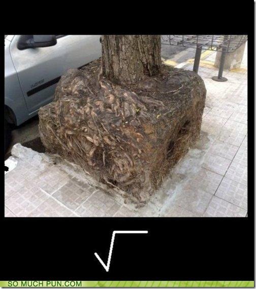 funny-puns-square-root